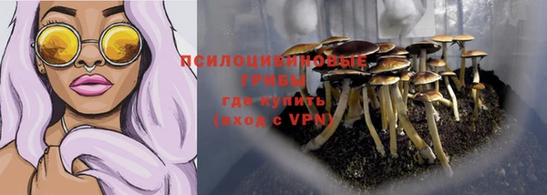 бутират Коряжма