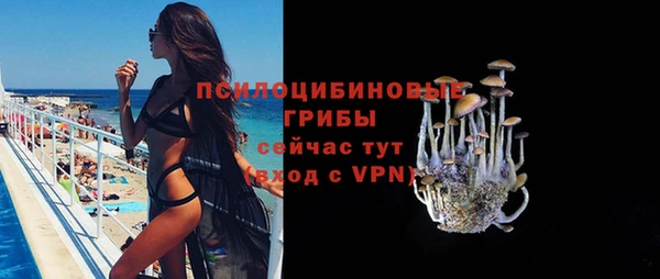 apvp Костерёво