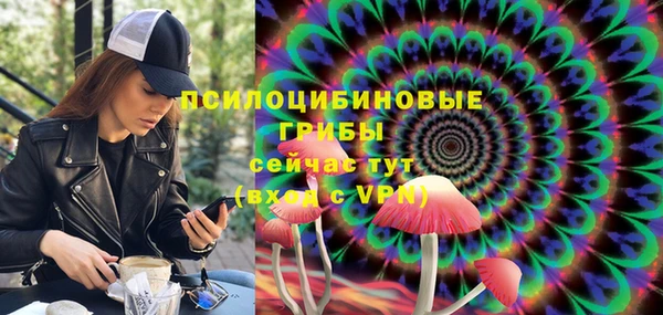 а пвп мука Корсаков