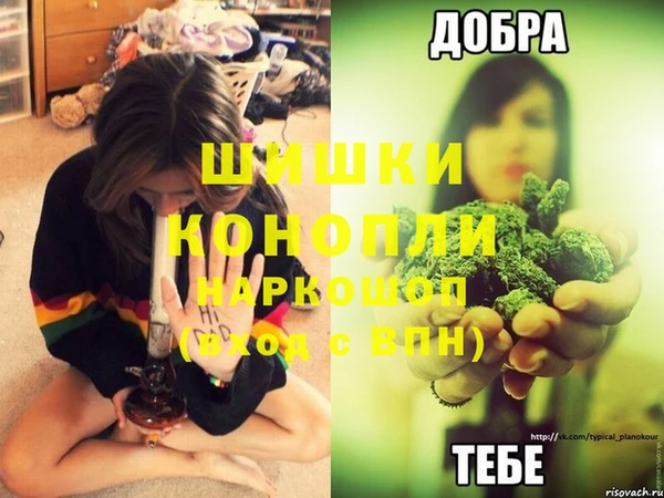 apvp Костерёво