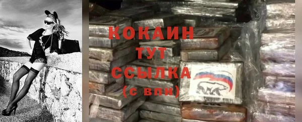 сатива Нефтегорск