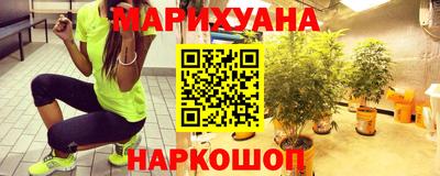 сатива Краснознаменск