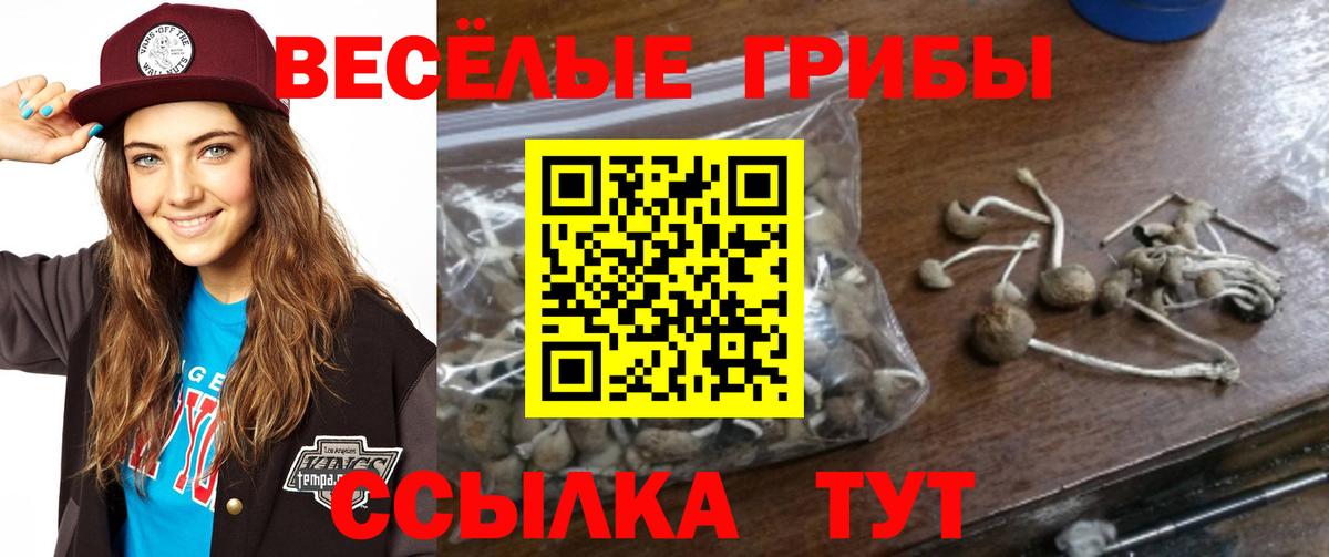 Галлюциногенные грибы Magic Shrooms  Вход с VPN  Котовск 