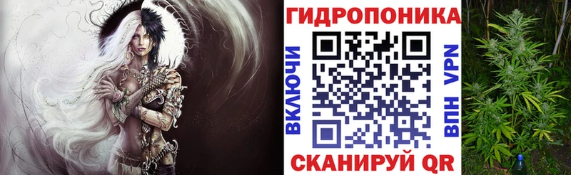 блэк спрут ссылки  Котовск  Канабис сатива 